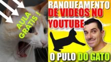 Treinamento pulo do gato